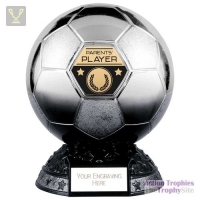 Elite Heavyweight Parents Player Award Platinum to Black 200mm