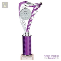 Frenzy Multisport Tube Trophy Silver & Purple 290mm