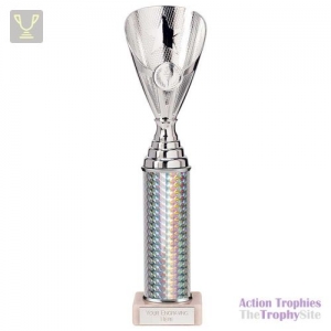 Rising Stars Plastic Trophy Silver 305mm